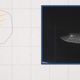 "Robotic ray is part animal, part machine" (Screenshot: Science)